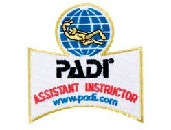 Assistant instructor patch